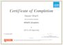provide premium cursive handwriting and professional transcription services